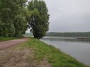 Bord du Rhin